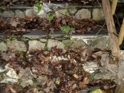 broken step causes injury