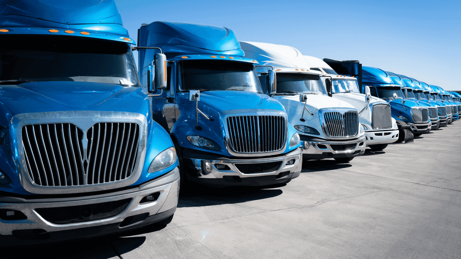 30(b)(6)deposition of trucking company